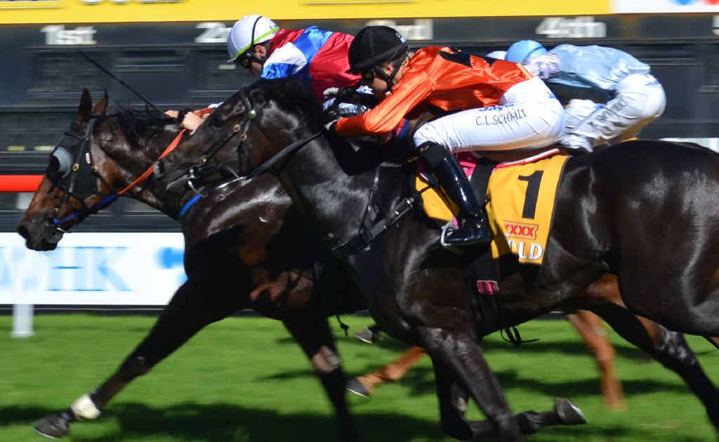 The first of The Daily Examiner’s new-look Weekend Race Guide can be seen on Friday. The first of The Daily Examiner’s new-look Weekend Race Guide can be seen on Friday.